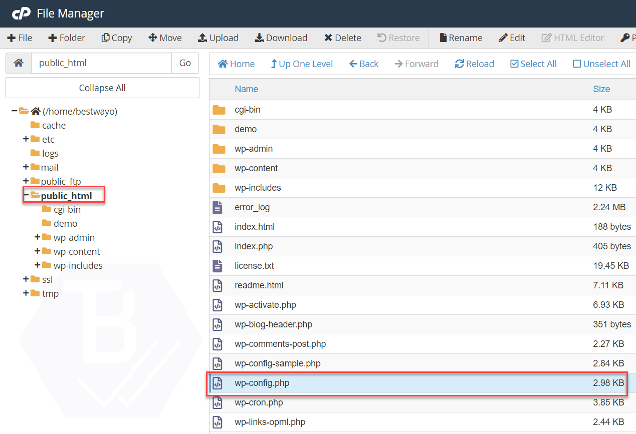 File Manager WordPress