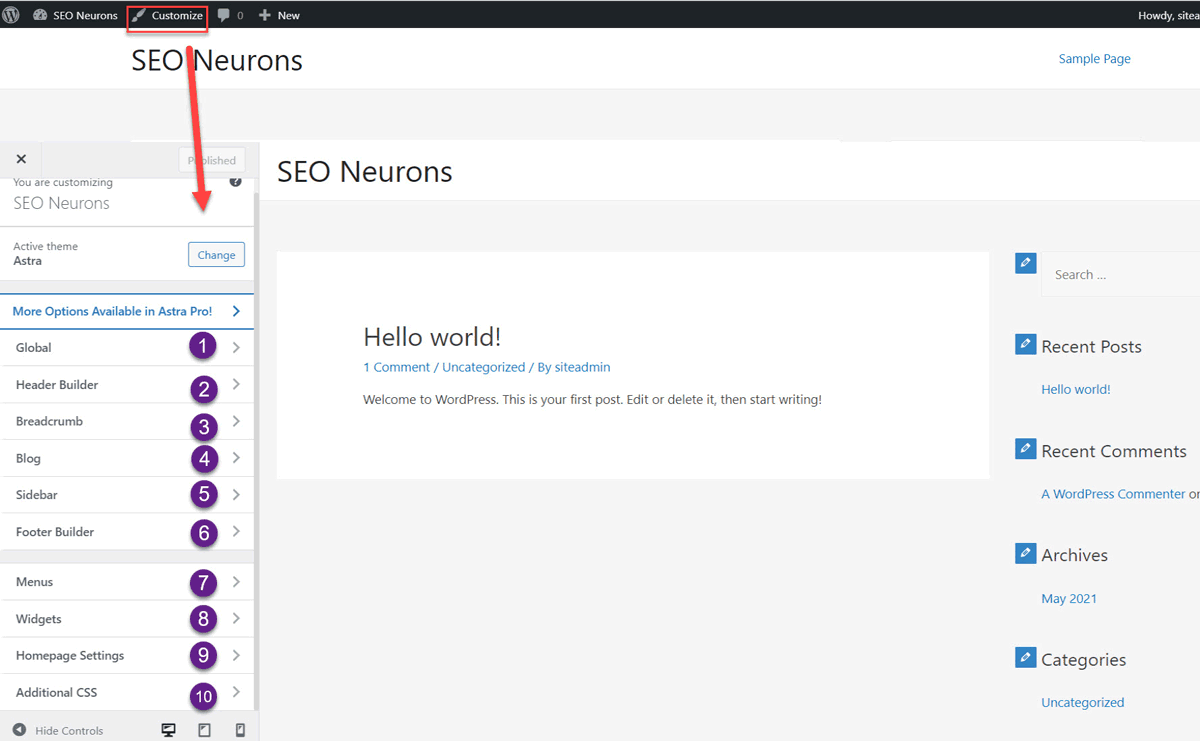 Customize WordPress View